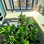 Harmony Appartement Tirana